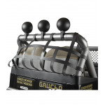 Elektrické autíčko - GAUCHO SUPERPOWER XP 24V